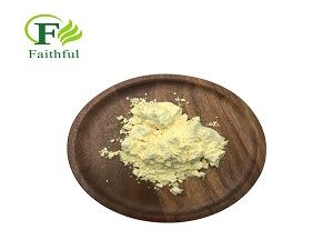 Real shot pictures of epimedium extract powder