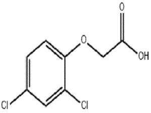 2, 4-Dichlorophenoxyacetic Acid MF.gif