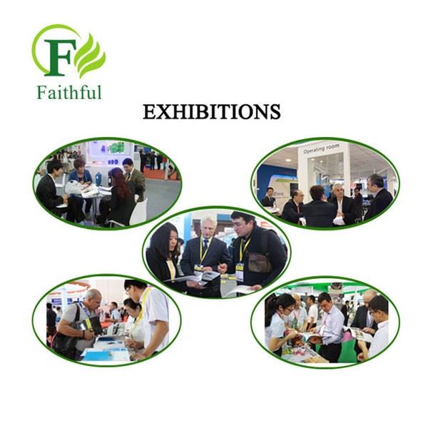 Faithful's Exhibition Faithful's Exhibition