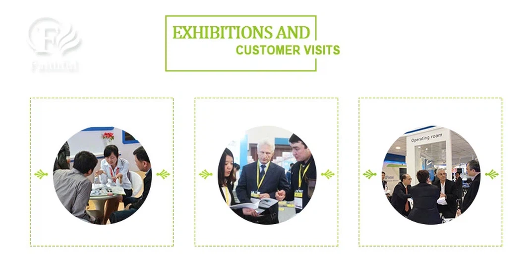 faithful exhibition faithful exhibition