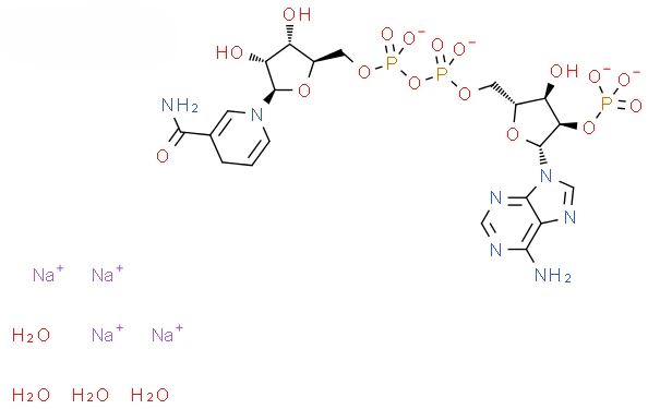 MF OF Nadph tetrasodium salt CAS 2646-71-1 MF OF Nadph tetrasodium salt CAS 2646-71-1